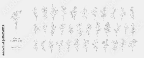 Set of whimsical drawing various flowers. Hand drawn floral collection for wedding invitation, wallpaper art or save the date card. Botanical vector illustration