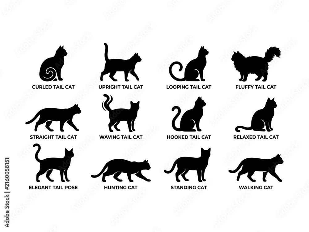 Fototapeta premium Black cat silhouettes displaying various tail poses and actions for pet related designs.