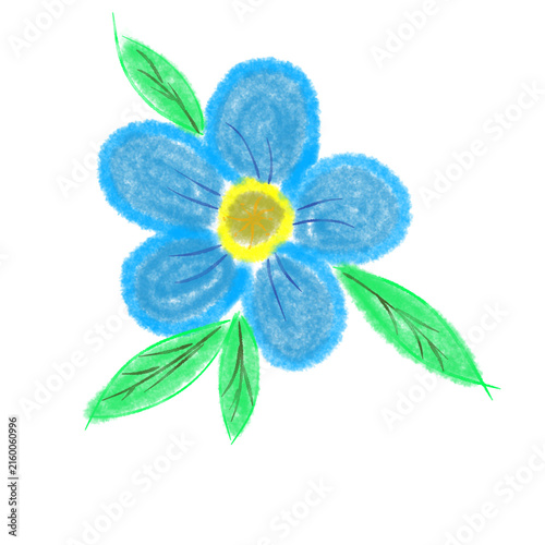 yellow flower on white background