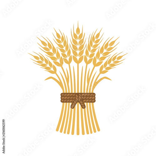 Fotografie A golden wheat sheaf bundle tied with a rope for agricultural design and organic
