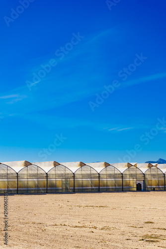 Industrial greenhouse complex for farming and commercial agriculture in Spain
