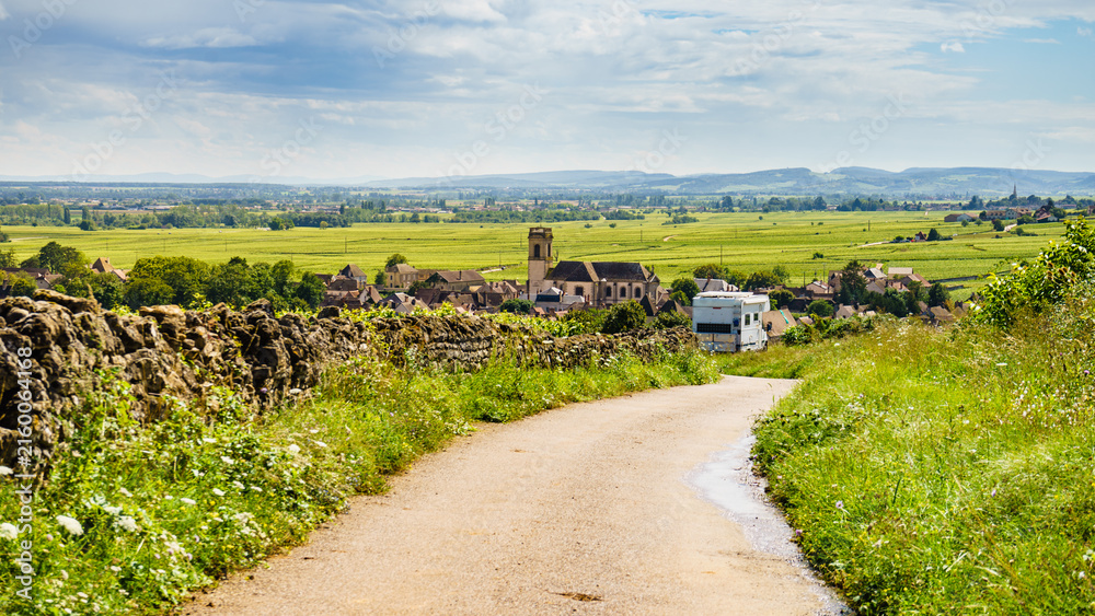 Naklejka premium Camper visit vineyard region, Burgundy in France.