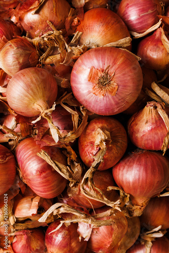 onions on the market