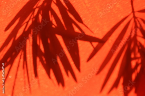 Sharp Shadow Silhouette of Bottlebrush Leaves Cast on Orange Fabric Surface