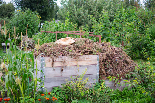 Compost pile of grass clippings, weeds and plant residues stored in a wooden box on a garden plot