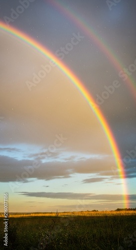 Bright Rainbow Arching Perfectly Across a Damp Sky After a Light Rain Shower