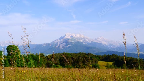 Summer Meadow And Mountains On Horizon. L'obiou In Alps, France.
