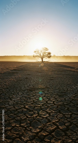 Bright sunlight warming the earth under a clear blue cloudless sky