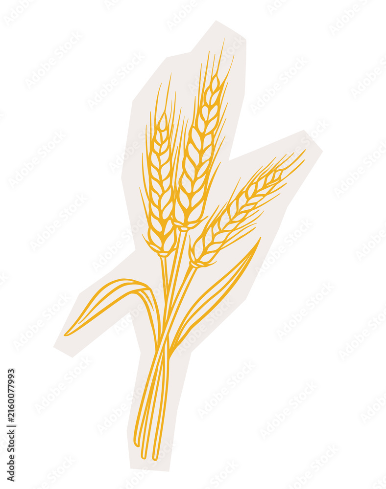 Fototapeta premium Wheat Bundle Hand Drawn Sticker