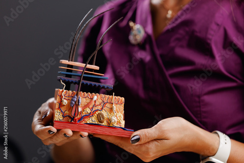 Canvastavla Closeup of scalp and hair follicle anatomical model with microscope and test tub