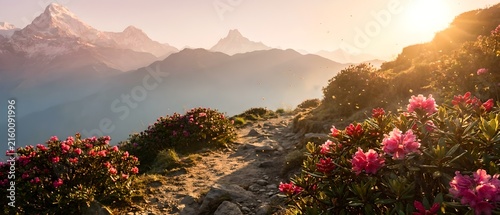  Vibrant Pink Rhododendrons Flourish Along a Rocky Mountain Trail at Golden Hour — Dense Clusters of Blooming Rhododendrons Frame a Winding, Stone-Lined Path in the Foreground, Their Petals Bathed in 