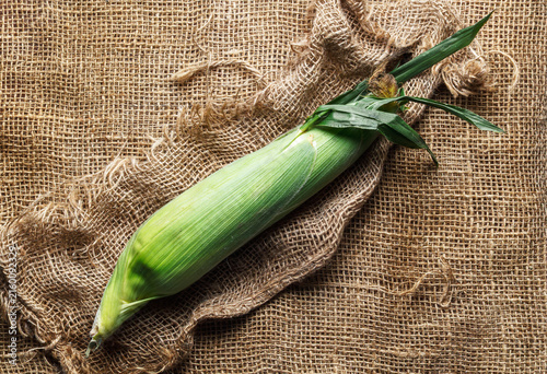 Quadro su tela Fresh ear of corn in its green husk resting on rustic burlap fabric with a natural farm-inspired presentation