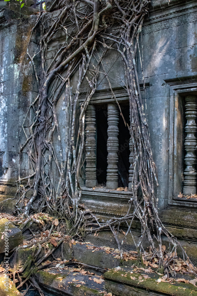 Obraz premium ruines du temple de Beng Mealea dans le complexe d'Angkor à Siem Reap au Cambodge