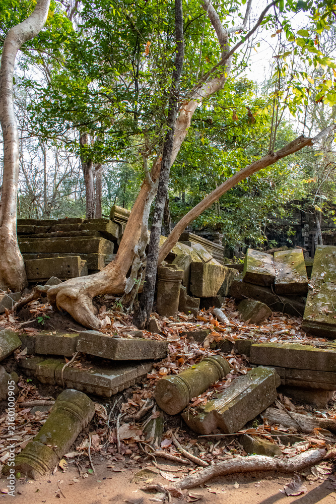 Obraz premium ruines du temple de Beng Mealea dans le complexe d'Angkor à Siem Reap au Cambodge