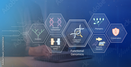 Obraz na plátne Modern illustration of functional genomics concepts including evolution comparat