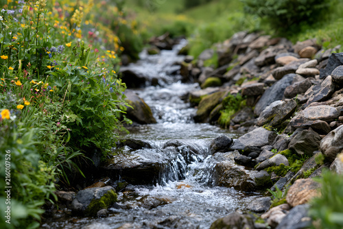 A serene mountain stream flows between a vibrant bank of wildflowers and green plants on the left, and a rocky, moss-covered bank on the right, capturing the beauty of nature.