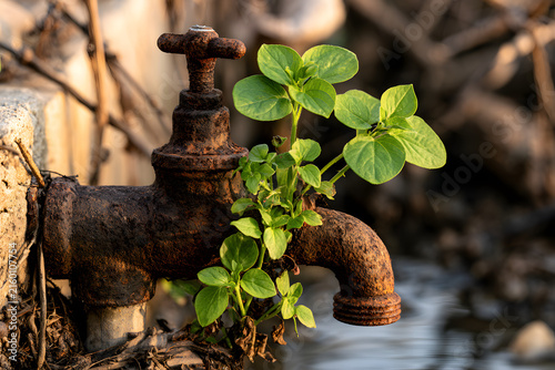 Vibrant green shoots emerge from a corroded metal tap, illustrating the power of nature to thrive amidst decay and abandonment.
