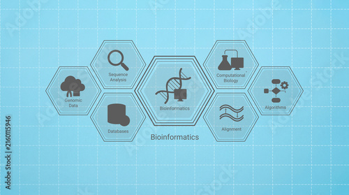 Foto Hexagonal Diagram Showing Key Components and Concepts Related to Bioinformatics