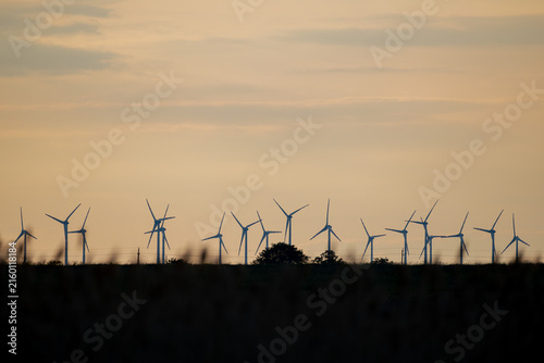 Windräder im Morgenlicht