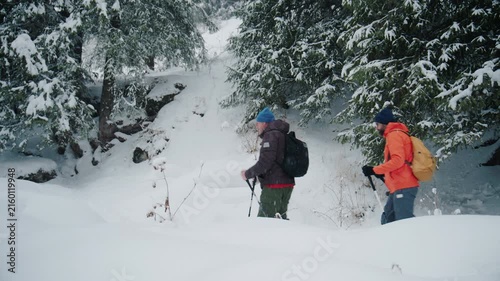Hikers carry backpacks through a snowy forest on a winter adventure in the mountains