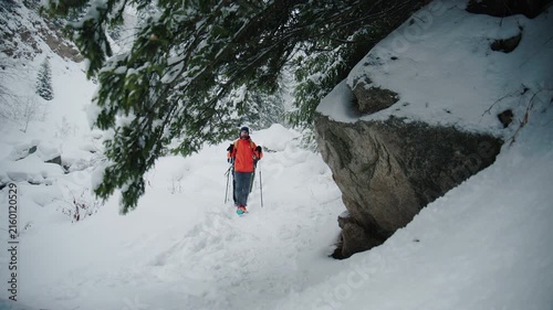 Hikers traverse snowy mountain trail through forested winter landscape using poles for support