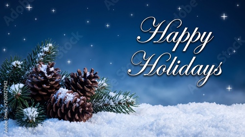 Happy holidays greeting card design featuring snowy pine cones against a starry night sky background with fir