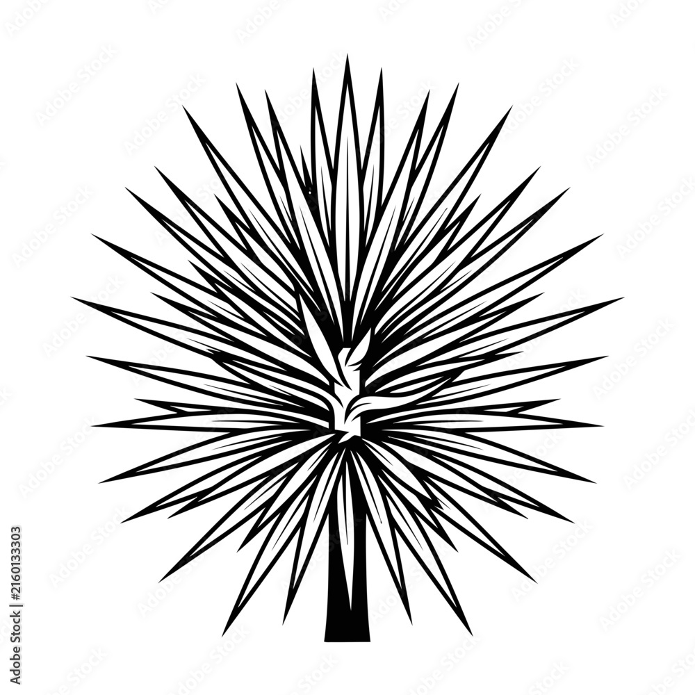 Obraz premium Spiky Yucca Plant With Sharp Leaves Silhouette Illustration