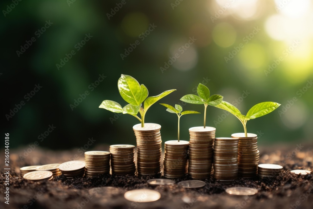 Fototapeta premium Green plant seedlings sprouting from increasing stacks of coins on rich soil