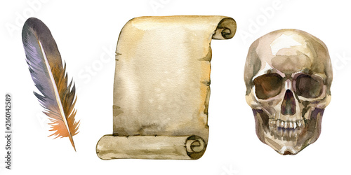 Watercolor feather scroll and skull set, hand painted vintage pirate adventure collection illustration