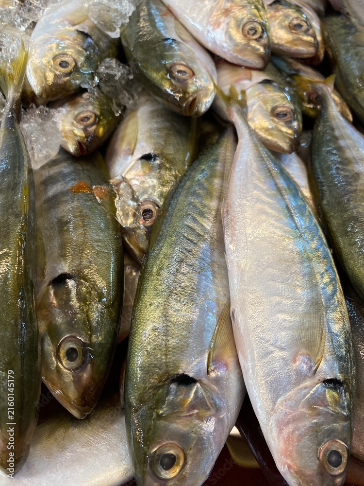 Fototapeta premium fresh fish on the market, kembung fish
