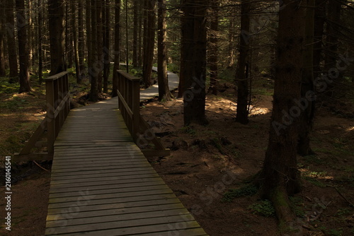 Nature studies path in Kladske raseliny, Slavkovsky les, Czech republic,Europe
