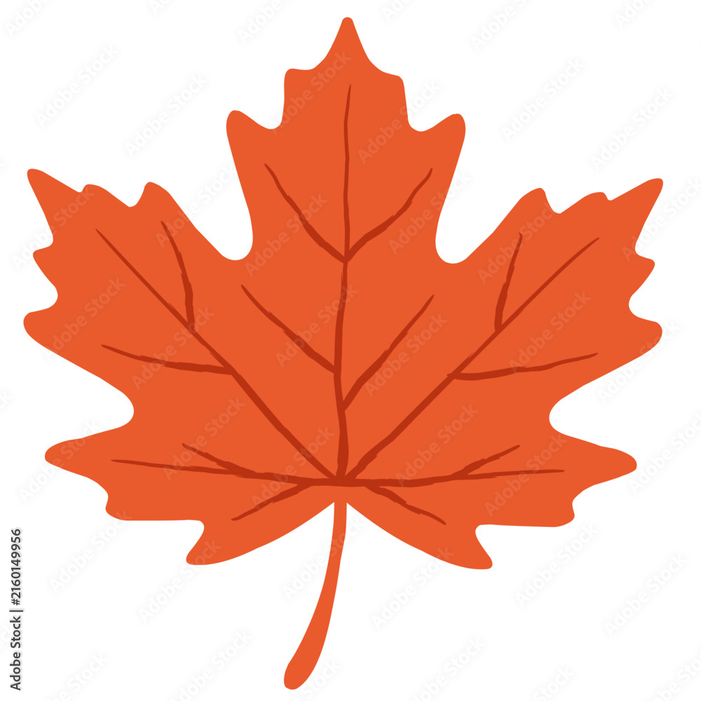 Fototapeta premium Autumn Orange Maple Leaf Vector Illustration