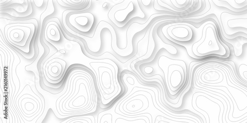 minimal discovery grid topography map area topographic lines map. geographic mountain outline relief. Topo contour paper map design.