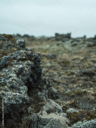 Moss-covered lava field in remote Icelandic volcanic landscape
