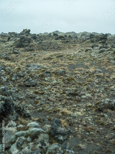 Moss-covered lava field in remote Icelandic volcanic landscape
