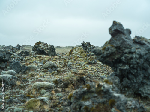 Moss-covered lava field in remote Icelandic volcanic landscape
