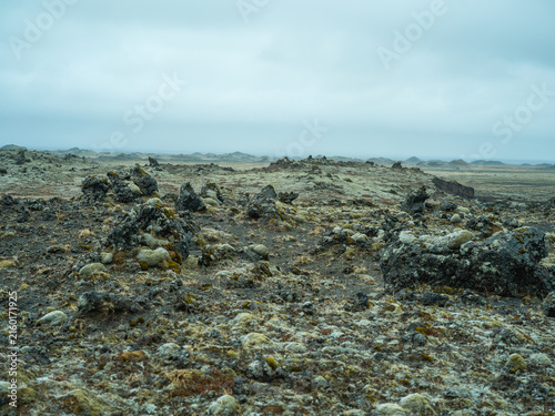 Moss-covered lava field in remote Icelandic volcanic landscape

