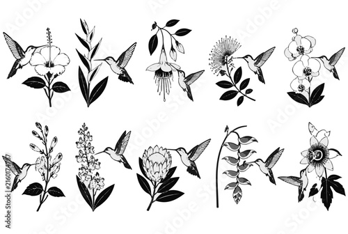 Hummingbirds and Exotic Flowers Black and White Line Art Pattern