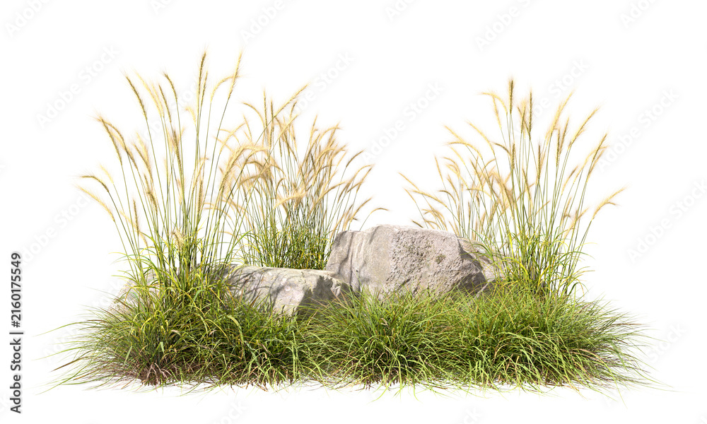 Fototapeta premium Grassy meadows prairie with stones cutout transparent backgrounds 3d rendering png