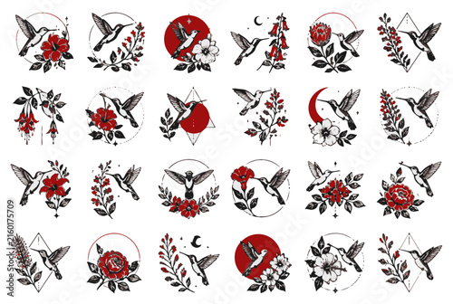 Vibrant Hummingbirds and Floral Motifs in Geometric and Circular Designs