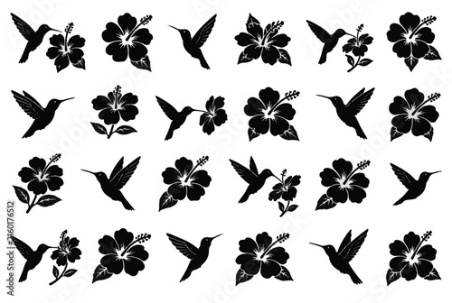 Black Silhouette Hummingbirds and Hibiscus Flowers Vector Art Collection