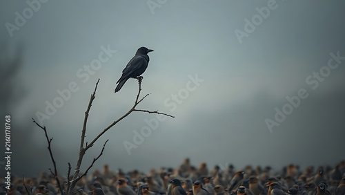 A solitary crow watches over a flock of sparrows from a bare branch.