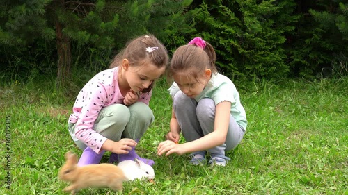 Happy girls feed little baby rabbits carrots outdoors. Rabbits eat vegetables. Children care pets. Kids with animals. Agriculture, farming