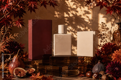 Warm light bathes autumnal stillness