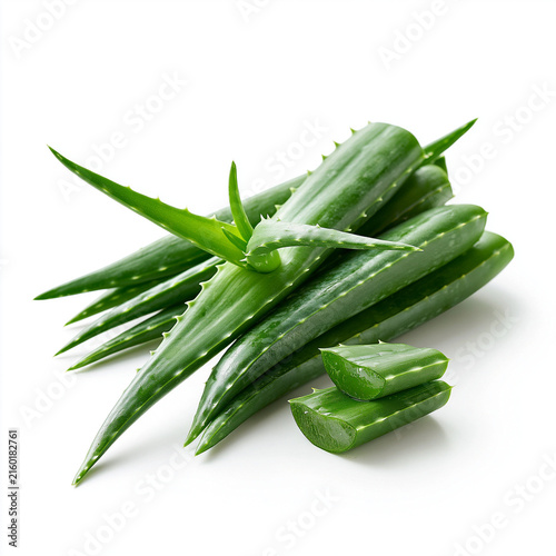 Aloe Vera Stack: A vibrant pile of fresh aloe vera plants and cuttings, showcasing their succulent green leaves and spiky edges, isolated on a clean background.