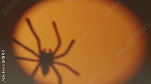 Yellow circular spotlight on straw with moving spider shadow