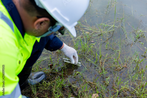 Cuadro en lienzo Environmental scientist collecting and examining a water sample from a natural stream for field quality assessment