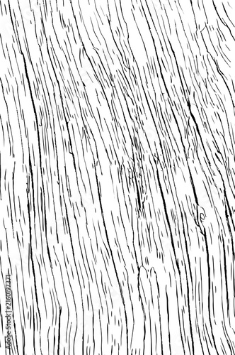 Illustration of natural grain lines and cracks in weathered wood or bark. Wood texture.