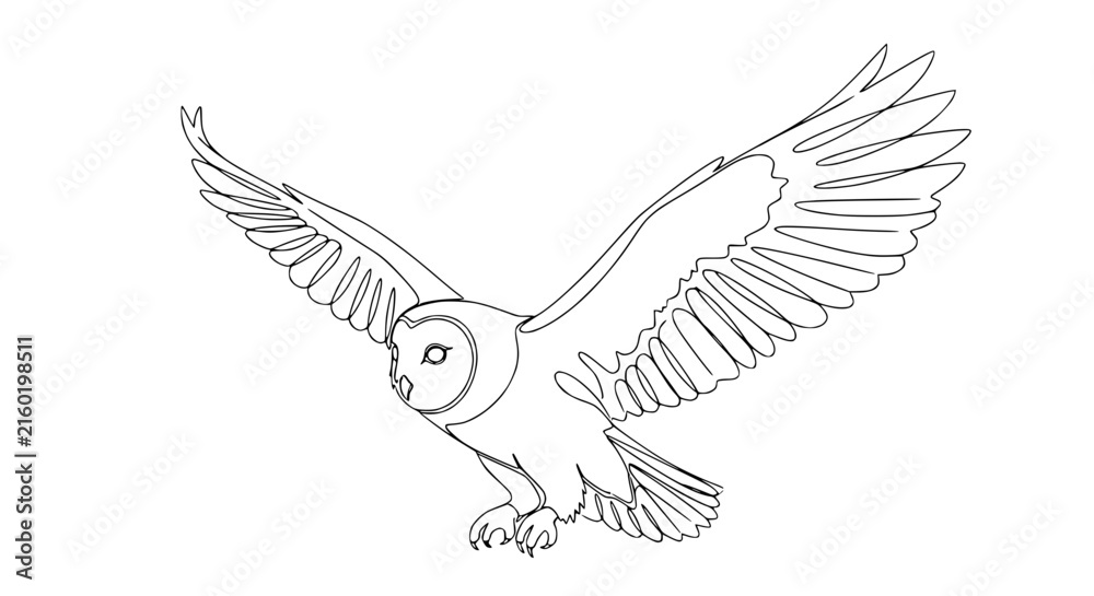 Fototapeta premium Barn Owl Line Art Flying Isolated Transparent Background Bird