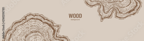 Minimal beige wood background featuring detailed hand drawn tree rings and organic wood grain contours in a rustic natural style